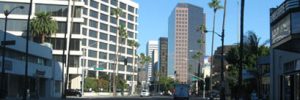 beverly hills hair transplant